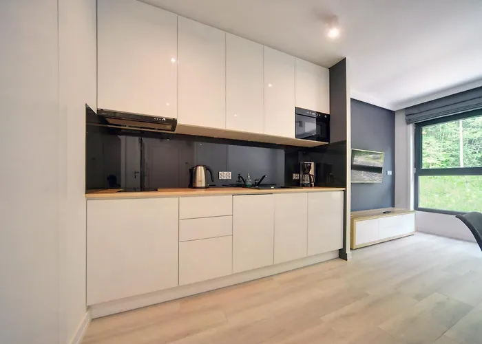 Nowoczesny Sun Seasons 24 W Karpaczu Z Parkingiem I Balkonem By Renters Appartement Karpacz